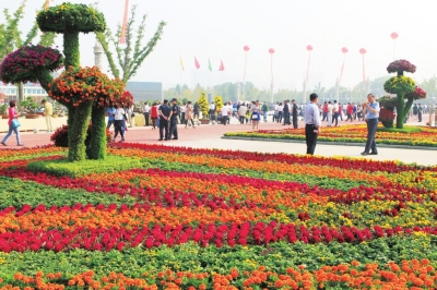 鄢陵:花博十六载 今年更不同