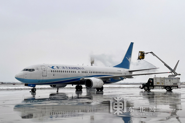 哈尔滨机场43个航班受降雪天气影响