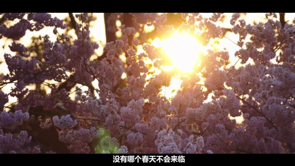 新华社：武汉战“疫”全景纪录片《英雄之城》