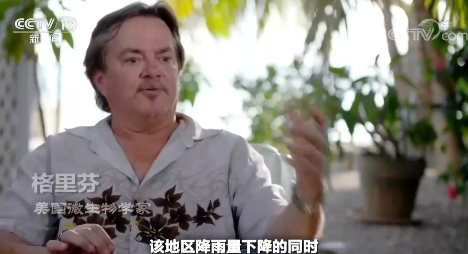 世界周刊丨一面是漫天黄沙 一面是沙子危机 解码“沙尘暴”