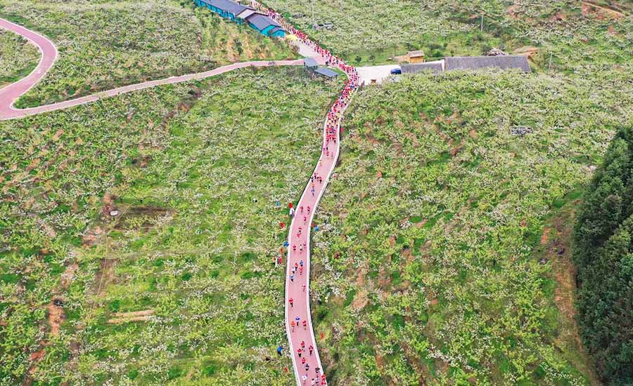 福建建宁红色主题马拉松开跑  选手们穿越花海感受苏区魅力