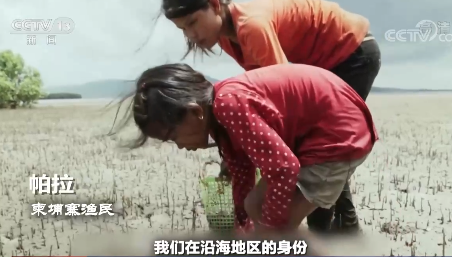 世界周刊丨一面是漫天黄沙 一面是沙子危机 解码“沙尘暴”