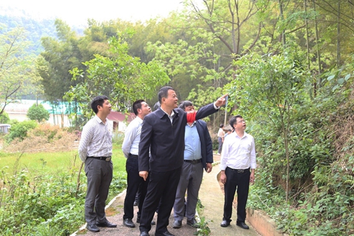 吉安市副市长李克坚到遂川县调研林长制工作 吉安市副市长李克坚到遂川县调研林长制工作_fororder_1