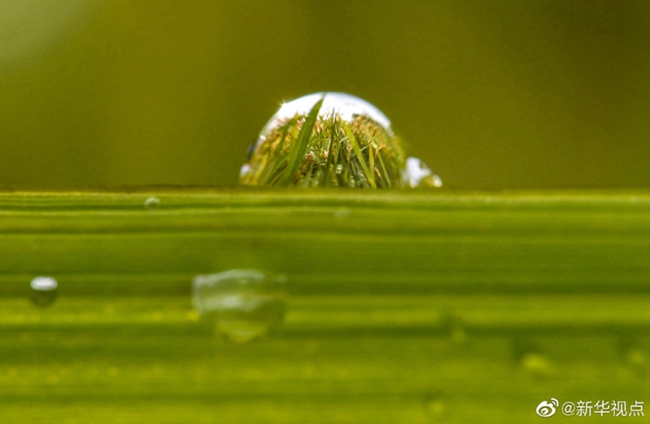 水を大切に!3月22日は「世界水の日」_fororder_FOREIGN202103221353000277509205876