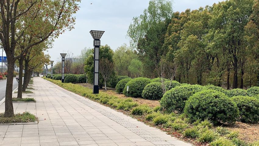 (ok)(供稿 企业列表 三吴大地南通 移动版)江苏万木源建设有限公司开展多项工作 提升养护能力