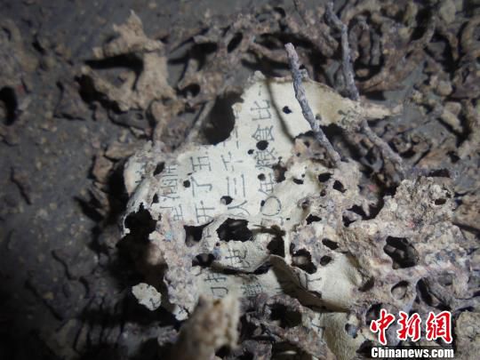 The elderly 40000 yuan of money pressure bottom by ants eat only left anti fake gold (Figure)