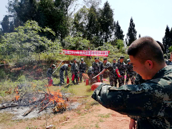 图片默认标题_fororder_森林灭火演练现场