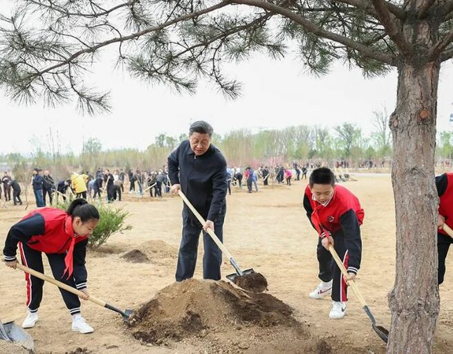 習総書記 北京の義務植樹活動に参加_fororder_F2.JPG