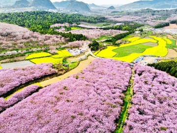 2021年3月24日放送のお便り紹介