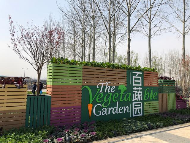 图片默认标题 图片默认标题_fororder_222