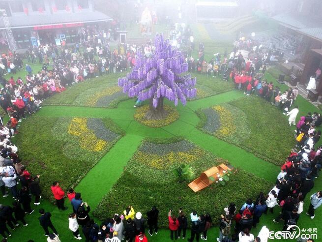 老君山で4月に雪景色＝河南省洛陽市_fororder_网2图3
