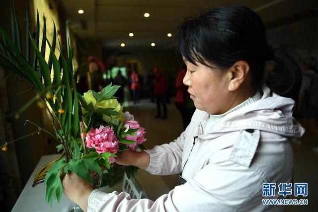 “中国牡丹花都”洛阳：擦亮“花名片” 催生“花经济”