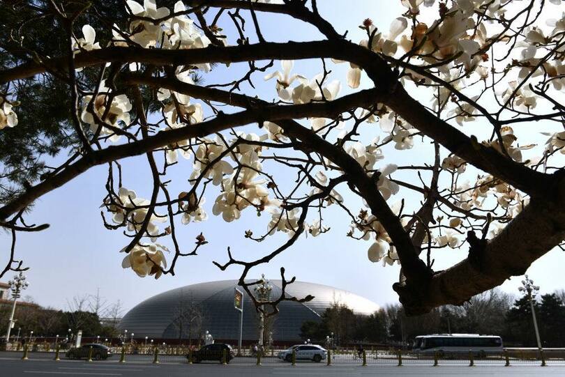 ดอกไม้นานาพันธุ์บานสะพรั่งในกรุงปักกิ่ง_fororder_3.2