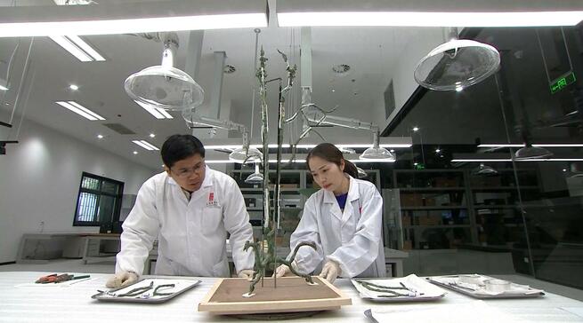 発掘が続く三星堆遺跡で遺物修復ホールを試験オープン_fororder_032602