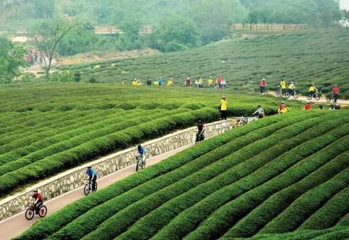 宜兴:致力文旅融合,描绘“陶式生活” 宜兴:致力文旅融合,描绘“陶式生活”