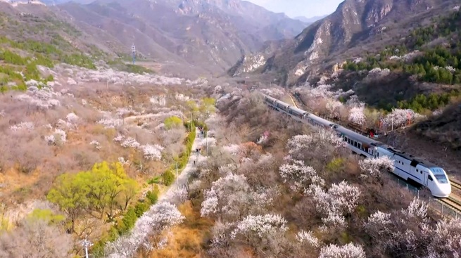 期間限定 春に向かう列車_fororder_2