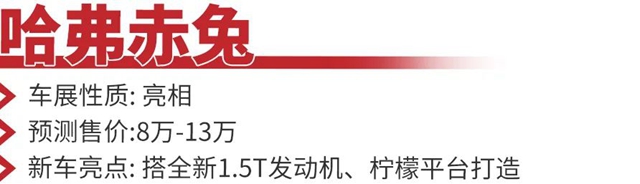 汽车频道【资讯】上海车展6款重磅SUV抢先看_fororder_image027