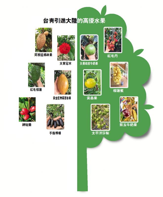 “台胞‘福’地”系列之“科技农业篇”台“新农人”打造“奇花异果园”