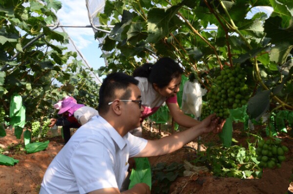 #CCFR Comment#បទវិភាគ៖តើទីបង្អែកនៃជំនឿចិត្តលើខ្លួនឯងរបស់បក្សកុម្មុយនិស្តចិនមក?_fororder_0408原创图片2