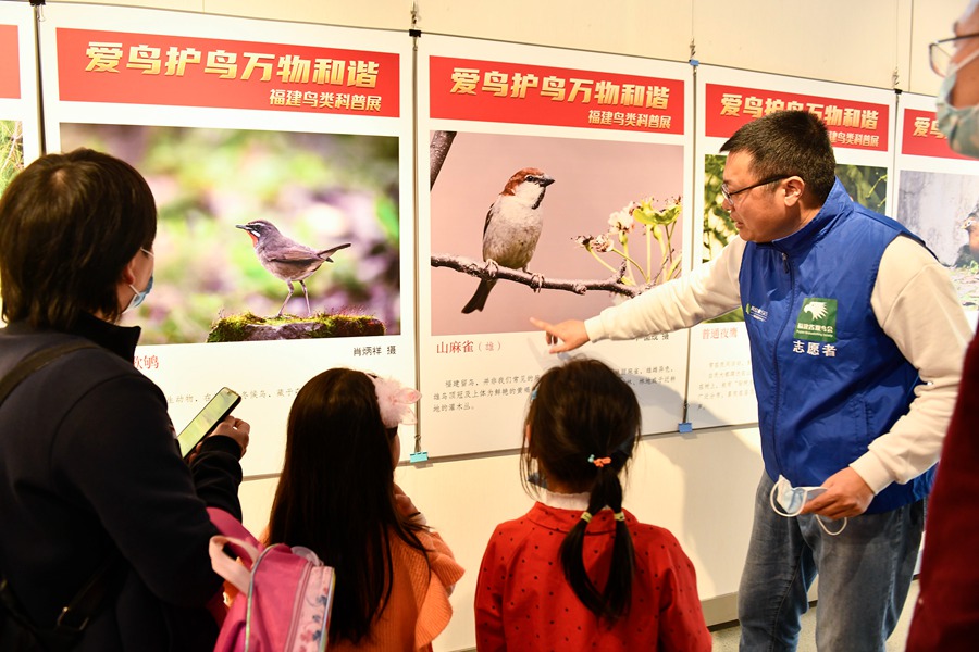 全国超过40%鸟类在福建野外可见