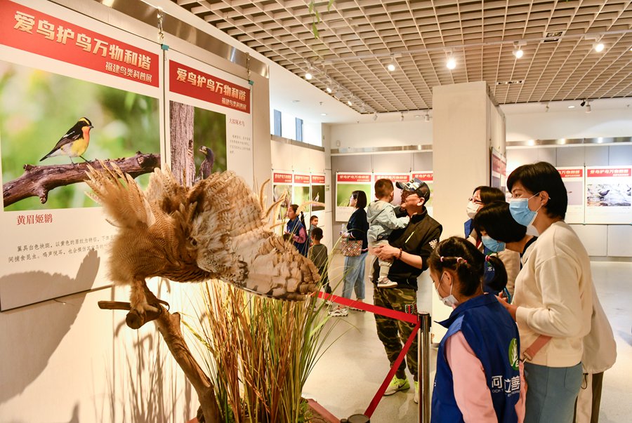 全国超过40%鸟类在福建野外可见