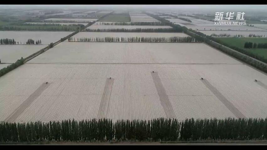 H&M dan Nike Harus Berpendirian Tepat Pada Masalah Kapas Xinjiang_fororder_xj7