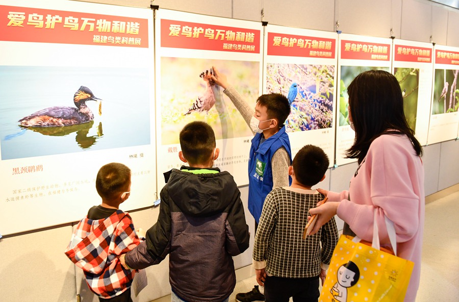 全国超过40%鸟类在福建野外可见