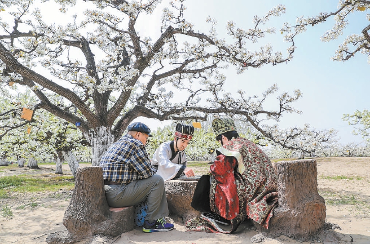 京郊花海迎来观赏季