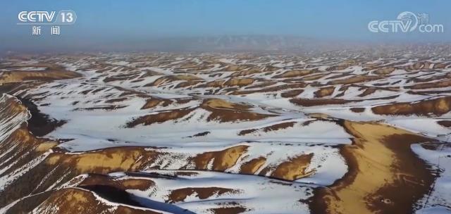 新疆玛纳斯飞播撒籽对天然退化草原进行补播改良 生态效益逐渐显现