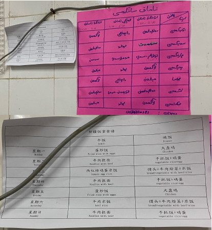 两位新疆姑娘的“硬核”报告 拆穿一个个谎言!