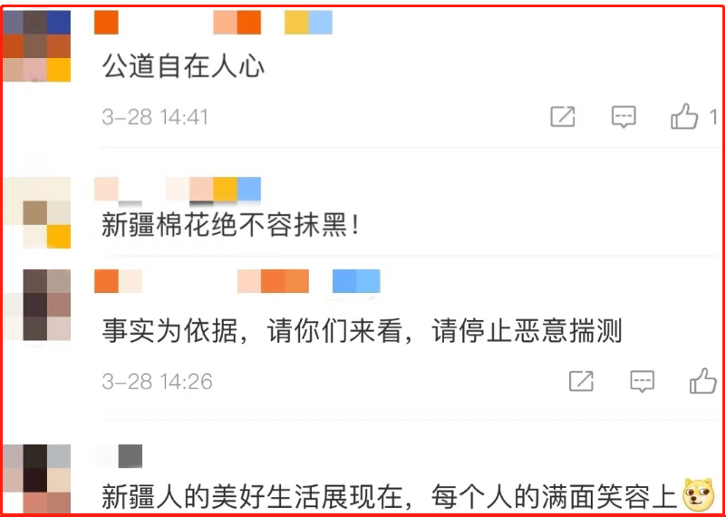 两位新疆姑娘的“硬核”报告 拆穿一个个谎言!