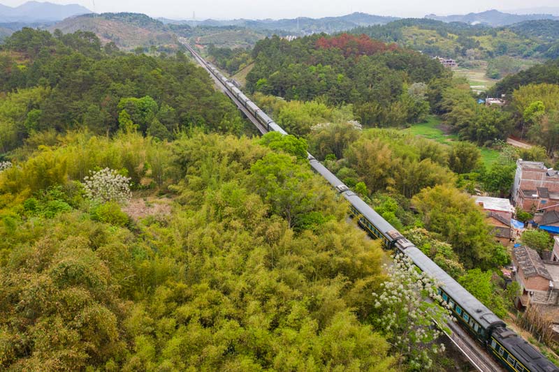 广西梧州：开往春天的绿皮火车