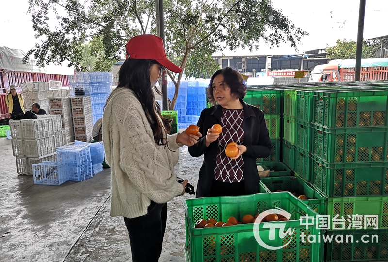 台湾自媒体达人关注大陆脱贫攻坚和乡村振兴发展情况