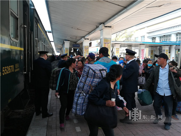 春耕,去三江平原“淘金”