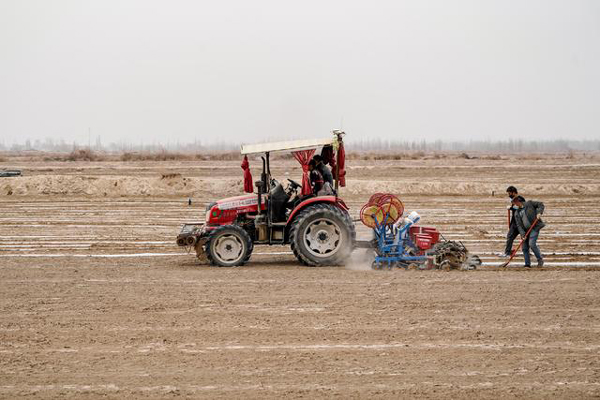 แหล่งผลิตฝ้ายซินเจียงเข้าสู่ช่วงเพาะปลูกประจำฤดูใบไม้ผลิ_fororder_xinjiang1