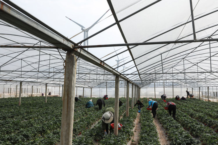 （转载）转动安宁河这把“金钥匙” 就能打开凉山奔富之“门”