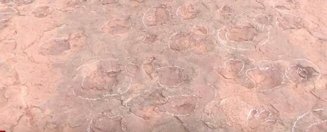 恐竜ダンスホールが福建省上杭県に登場_fororder_４５４４