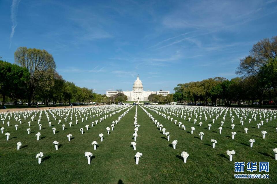 华盛顿：四万绢花纪念枪击遇难者