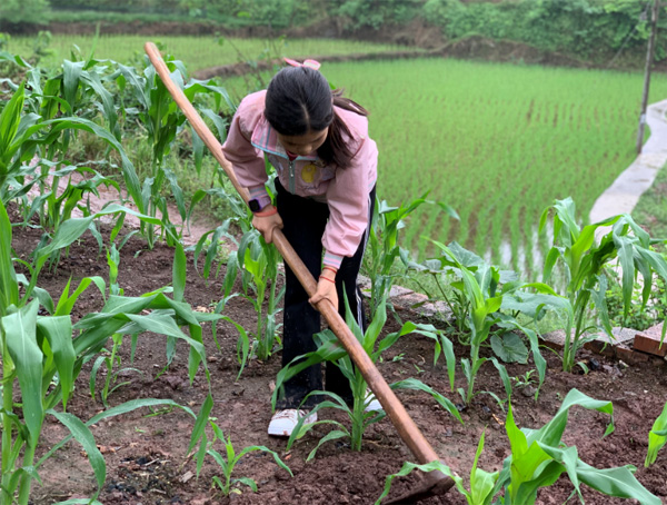 图片默认标题_fororder_1