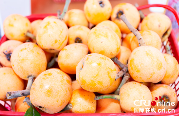 图片默认标题_fororder_8现场枇杷展示（摄影-廖志全）