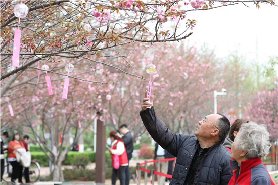 【原创】一河诗画满城花 第七届中国（鹤壁）樱花文化节开幕_fororder_图片4