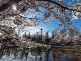 4月5日　月曜日