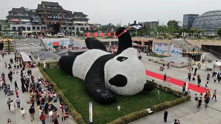 （转载）130吨重！“自拍大熊猫”雕塑正式亮相都江堰