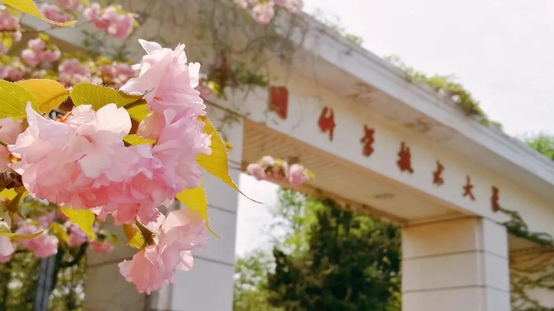 【教育频道】中国科学技术大学2021年强基计划招生简章重磅发布 【教育频道】中国科学技术大学2021年强基计划招生简章重磅发布