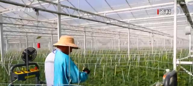 贫困地区农村居民人均可支配收入年均增长11.6% 增长持续快于全国农村