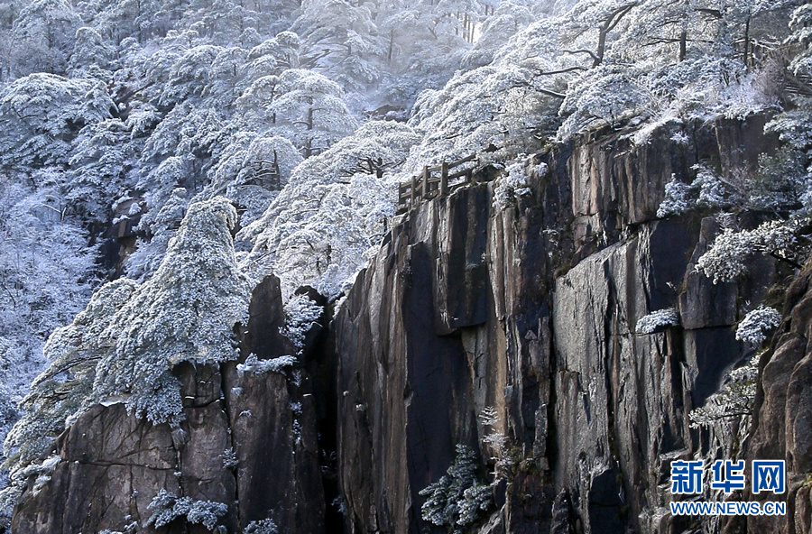 黄山迎来“桃花雪” 雪凇云海别样美