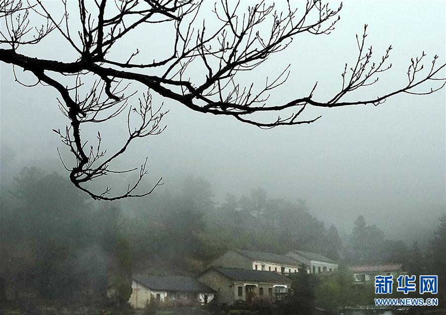 烟雨黄柏山