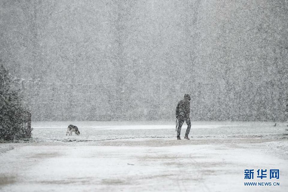 比利时布鲁塞尔迎春雪