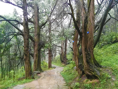 图片默认标题_fororder_未标题-2