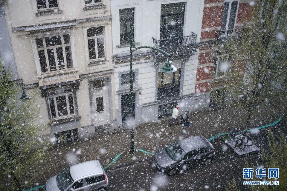 比利时布鲁塞尔迎春雪